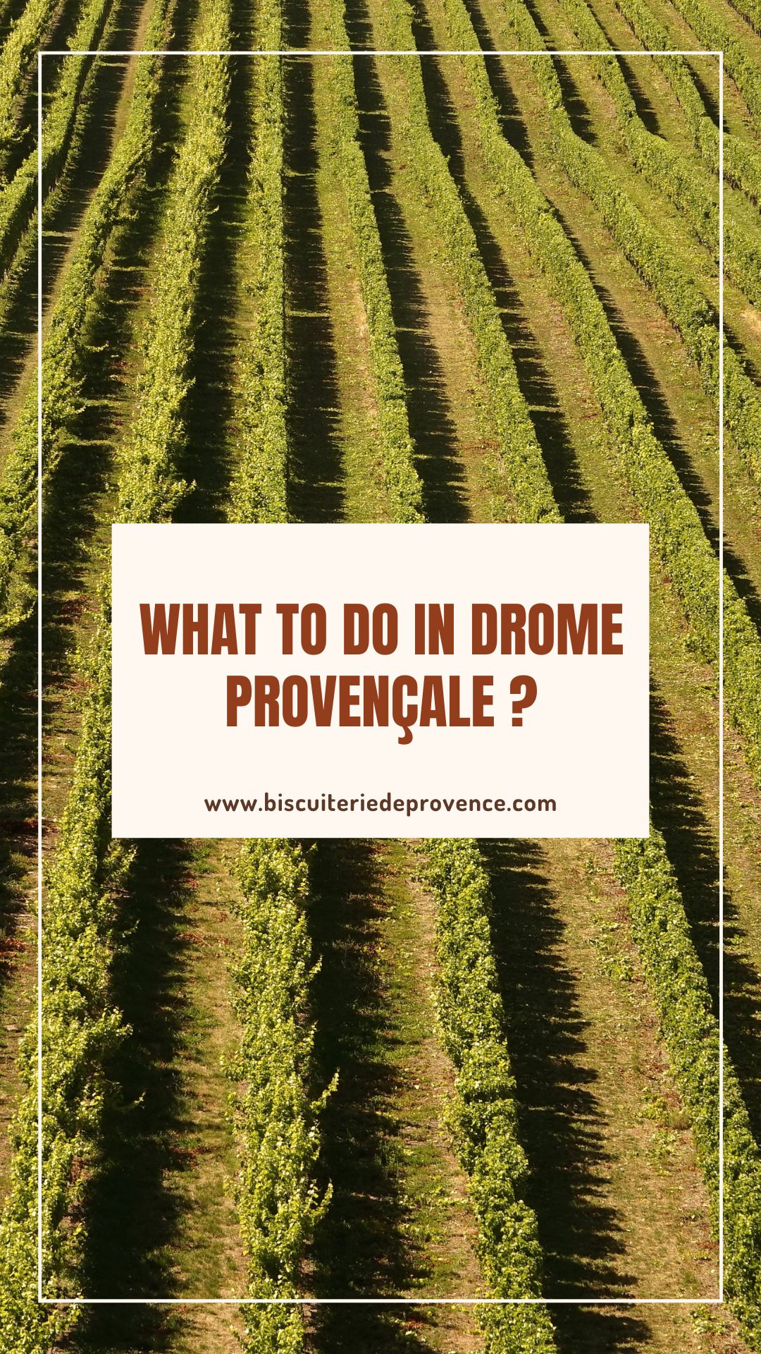 What to do un drome provencal